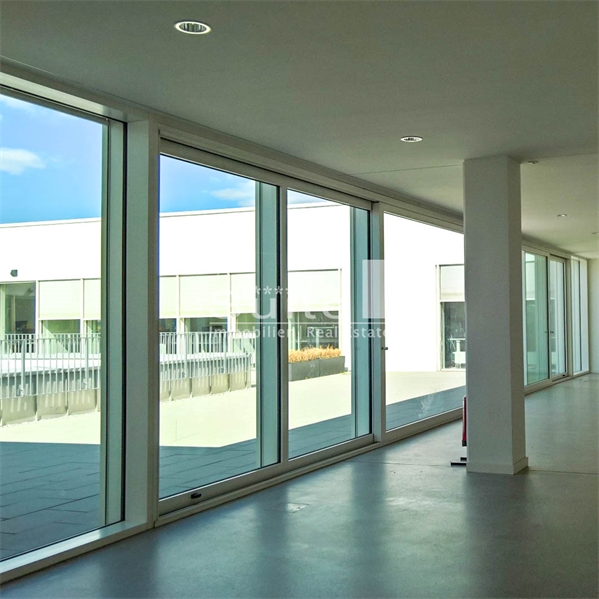 Loftige Flächen im EG oder mit Dachterrasse