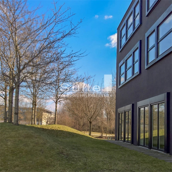 Loft-Charakter EG oder mit Dachterrasse: Showroom-Büro