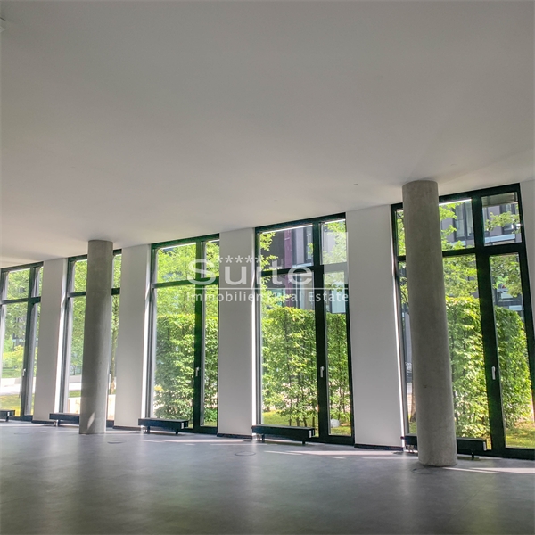 Showroom und Officeflächen teilweise mit Dachterrassen